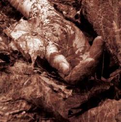 Ghäst (CAN) : Ghäst - Rape-X